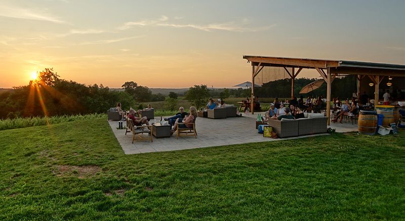 Windridge Vineyards