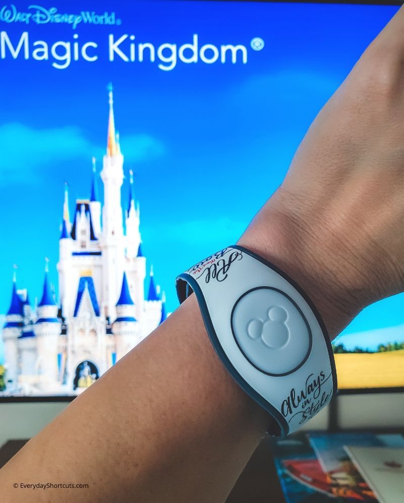 FastPass+ Strategy