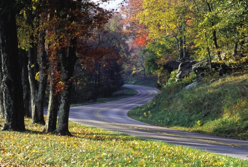 Shenandoah National Park, Virginia