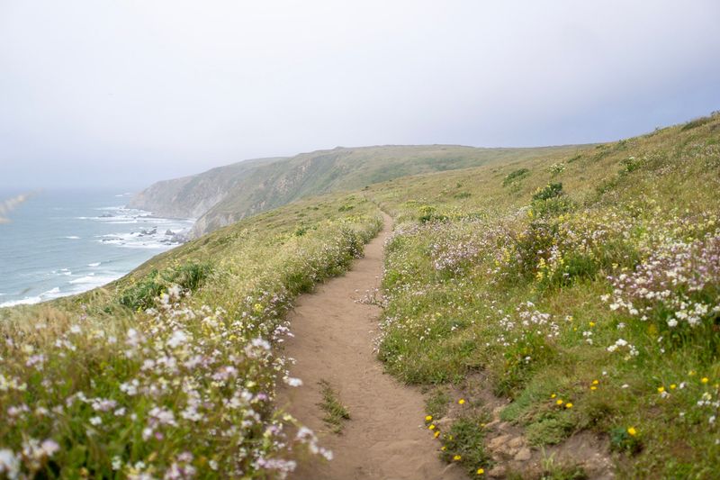 Scenic Nature Trails