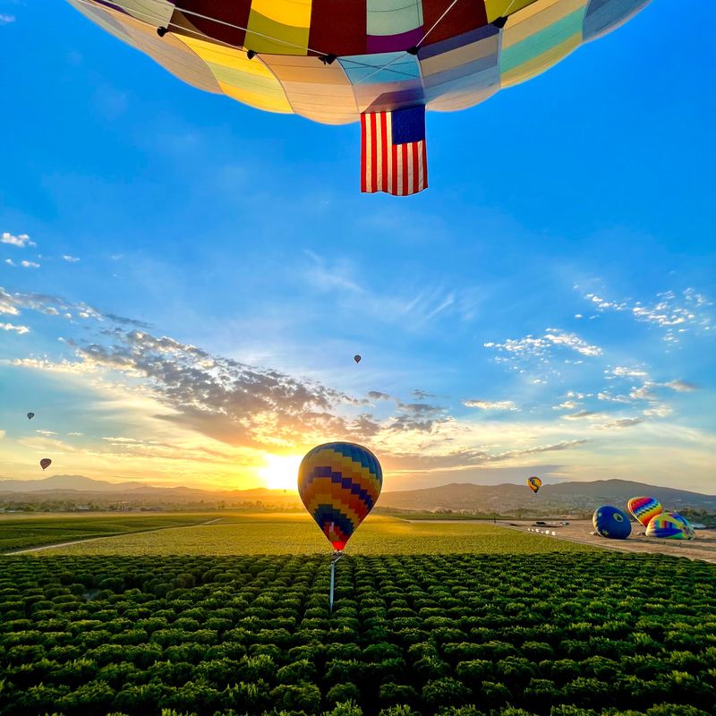 Beyond the Glass: Hot Air Balloons and Olive Groves