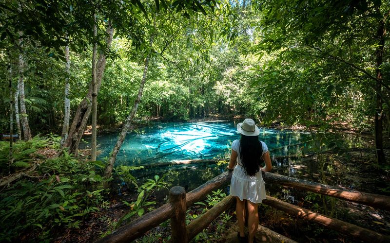 Trang's Emerald Pool Forest
