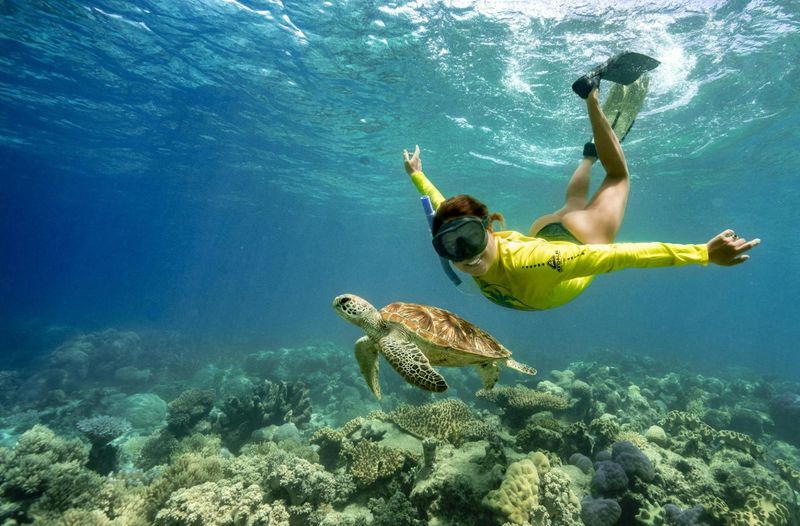 Great Barrier Reef, Australia