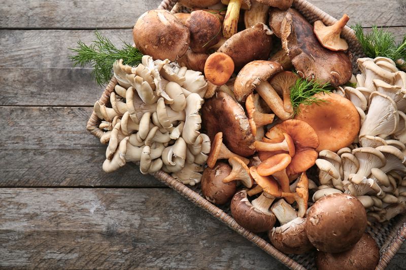 Mushrooms - Hated