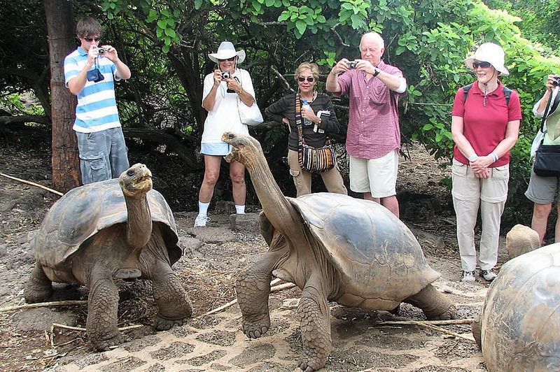 Galápagos Islands, Ecuador
