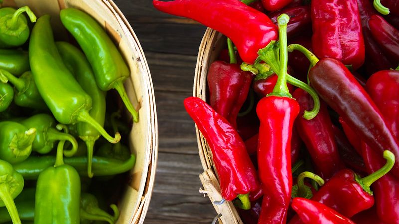 Chili Culture & Southwest Cuisine