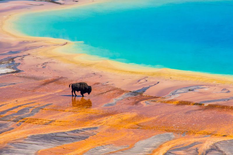 Yellowstone's Grand Prismatic Spring, USA
