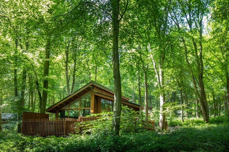 Forest Glade Inn
