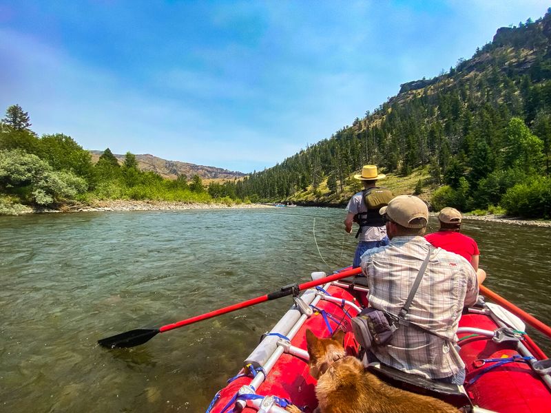 Shoshone River Provides Thrilling Water Adventures Through Scenic Canyons