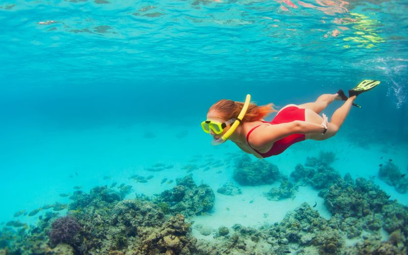 Underwater Paradise for Snorkeling Adventures