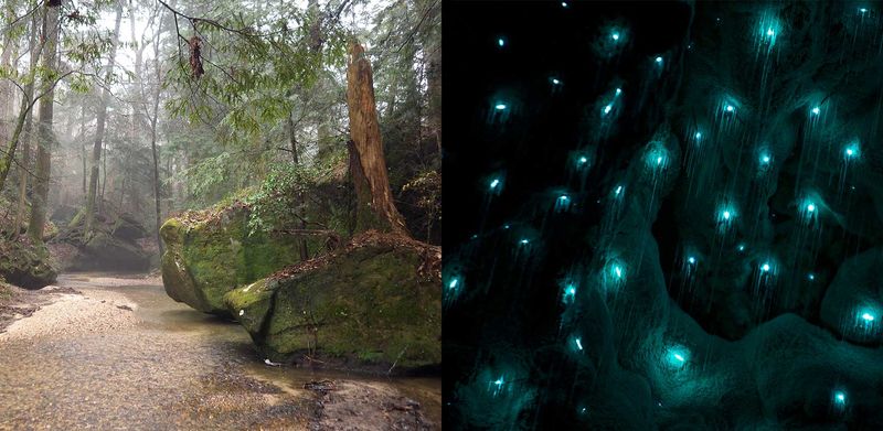 Dismals Canyon, Alabama