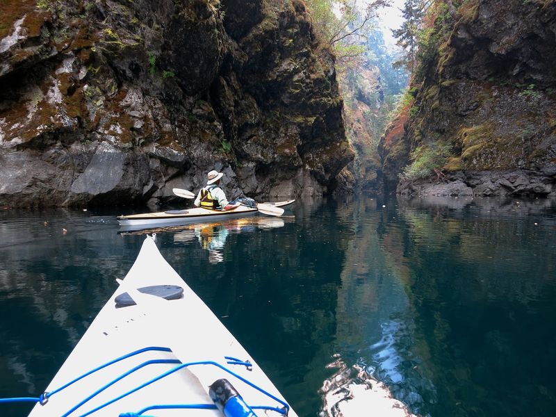 Paddle Paradise