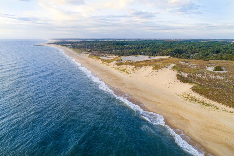 Delaware: Cape Henlopen State Park