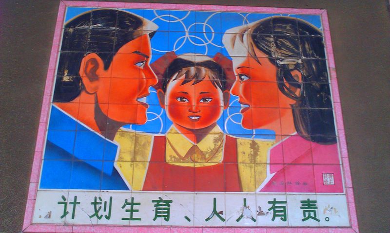 The One-Child Policy Legacy