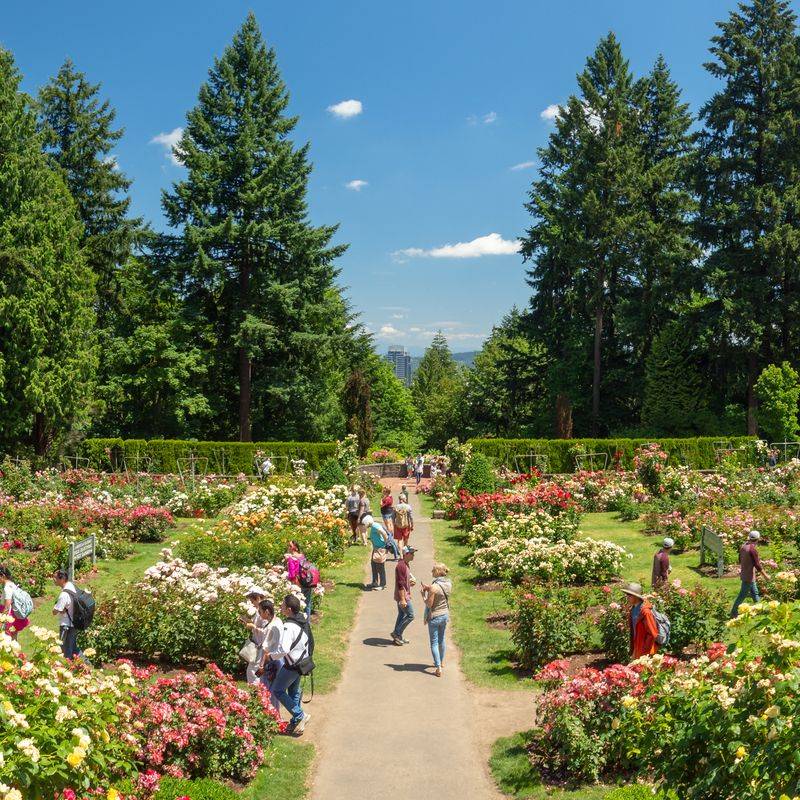 Rose Gardens of Portland, USA