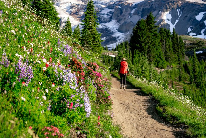 Mount Rainier National Park, Washington