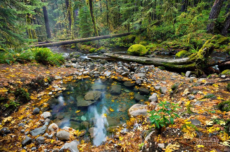 Wall Creek Warm Springs