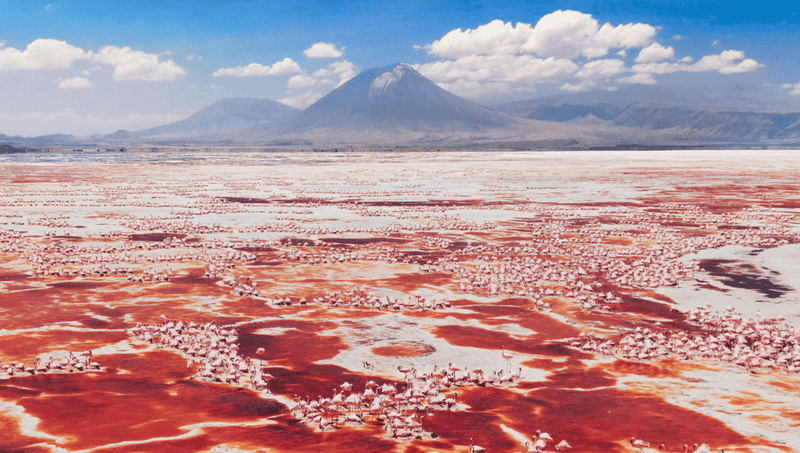 Lake Natron, Tanzania
