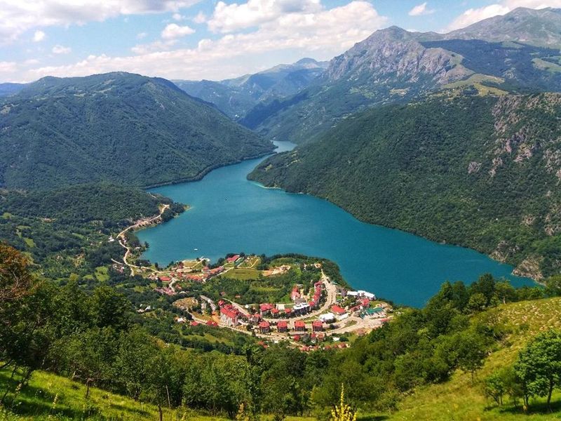 Plužine