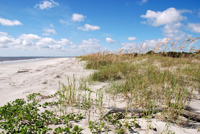 Sapelo Island Beach