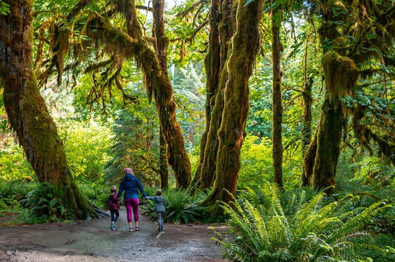 Olympic National Park, Washington