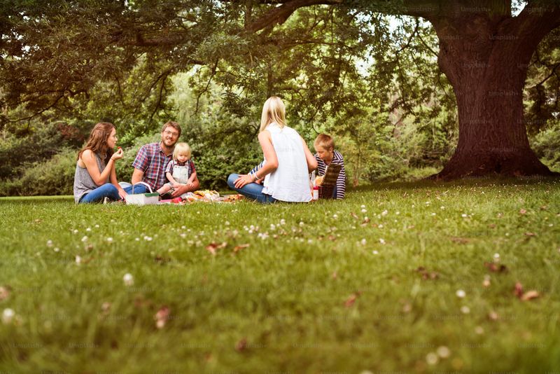Picnic in the Park