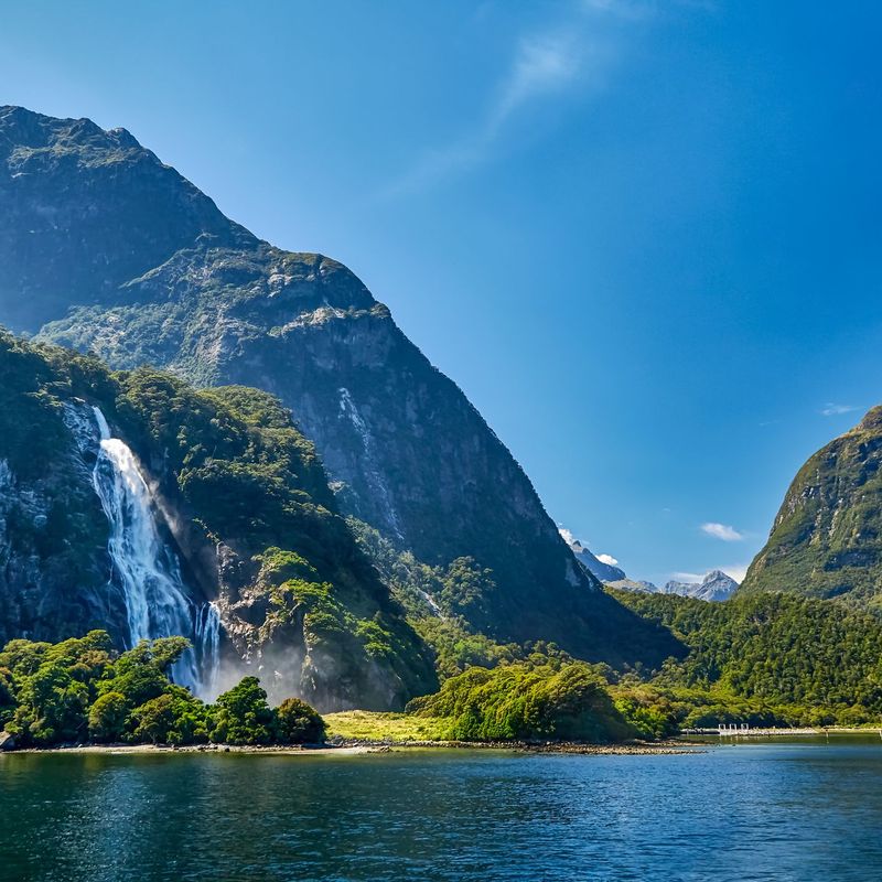 New Zealand Nature Odyssey