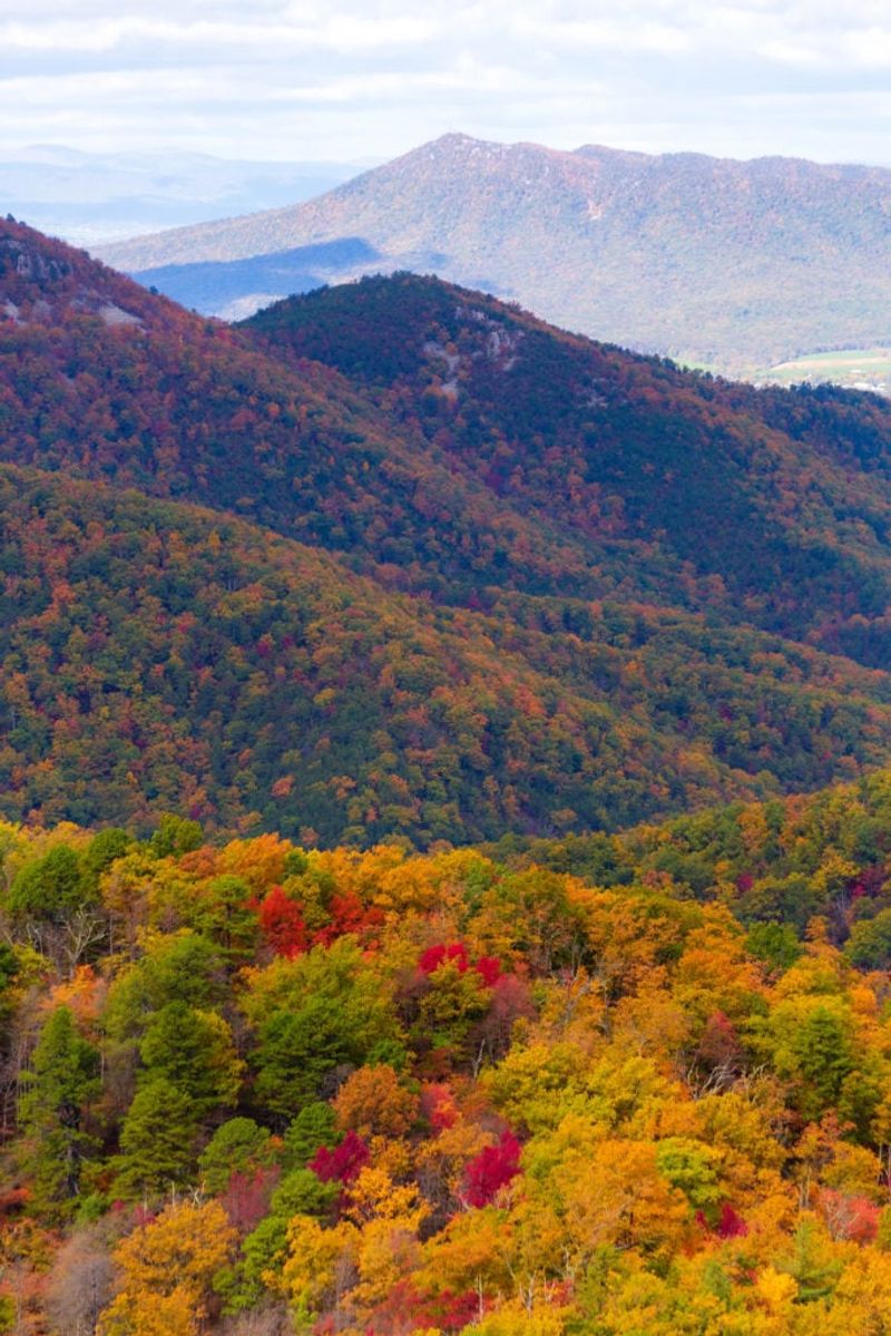 Shenandoah National Park