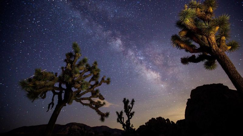 Joshua Tree National Park