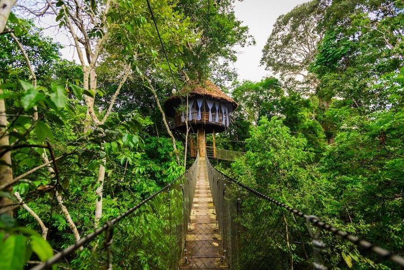 Jungle Canopy Lodge
