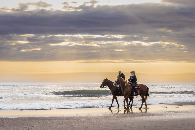 Amelia Island