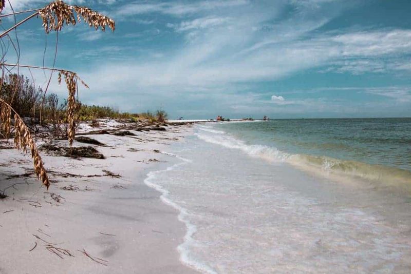 Honeymoon Island State Park's North Beach