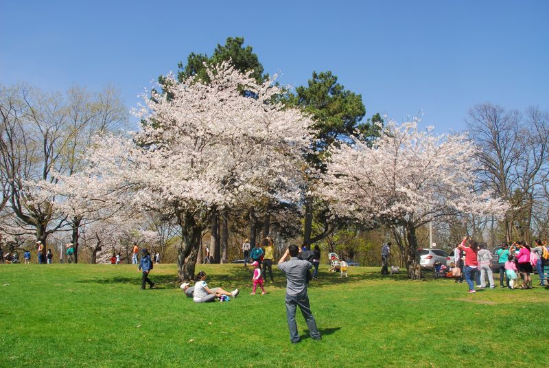 Relax in High Park's Natural Oasis