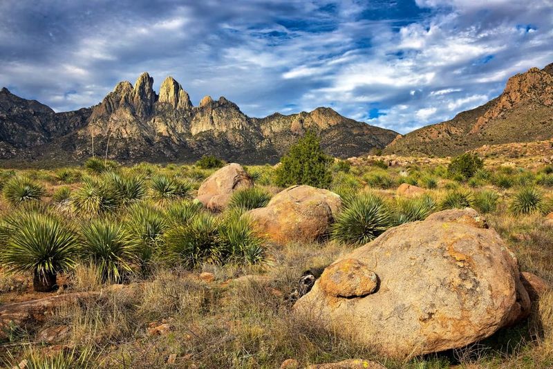 Scenic Backdrop: The Organ Mountains