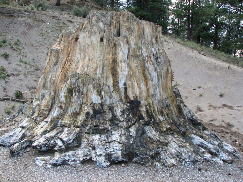 Florissant Fossil Beds National Monument