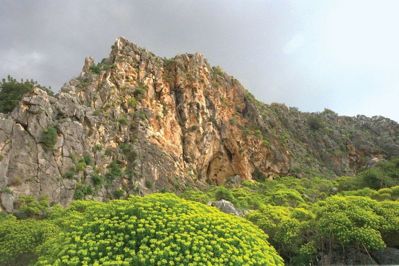 Climb to the Sanctuary of Mount Carmel