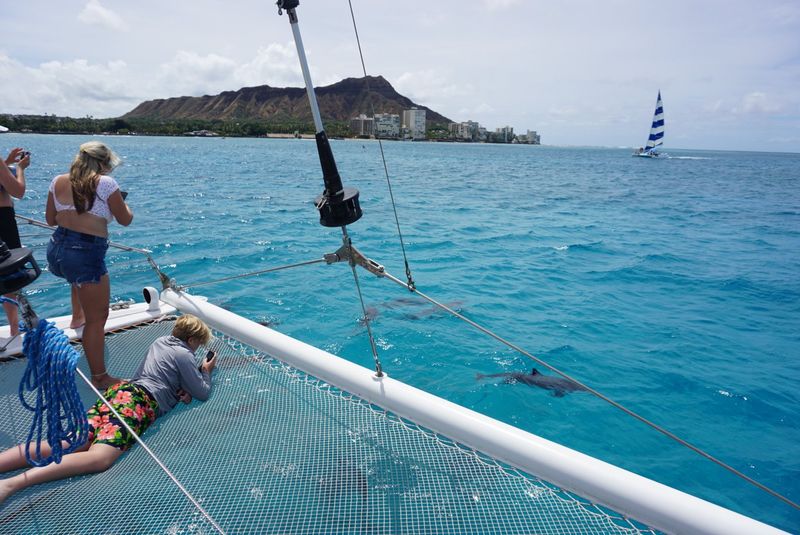 Sailing on a Catamaran
