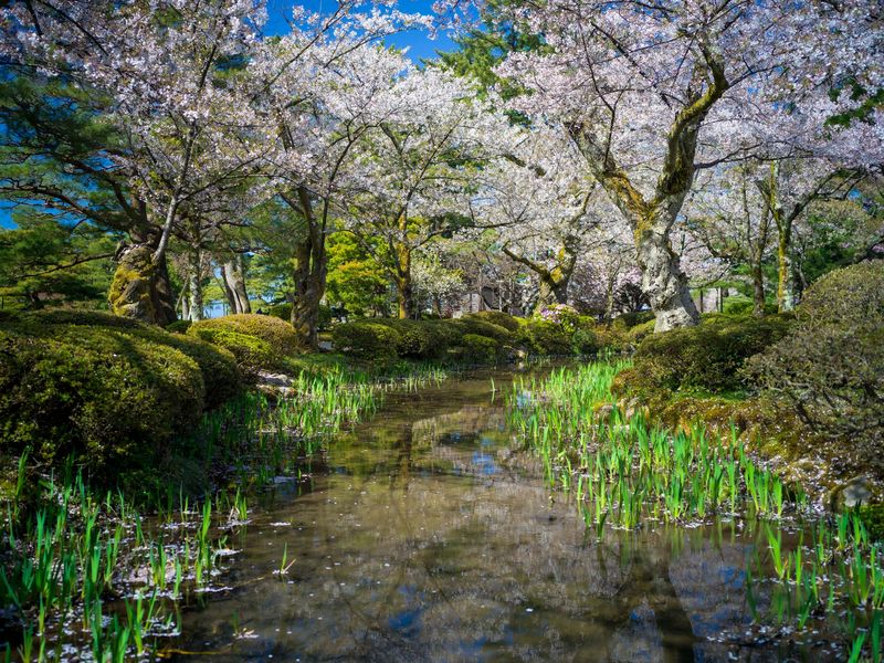 The Tranquility of Japan's Countryside