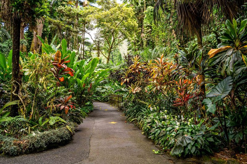 Picturesque Botanical Gardens