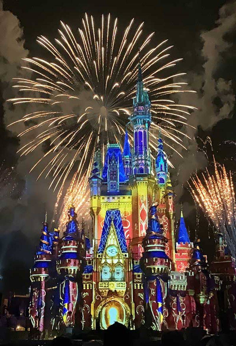 Fireworks Viewing Spot
