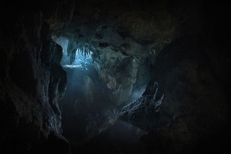 Cave Oleg Bat House