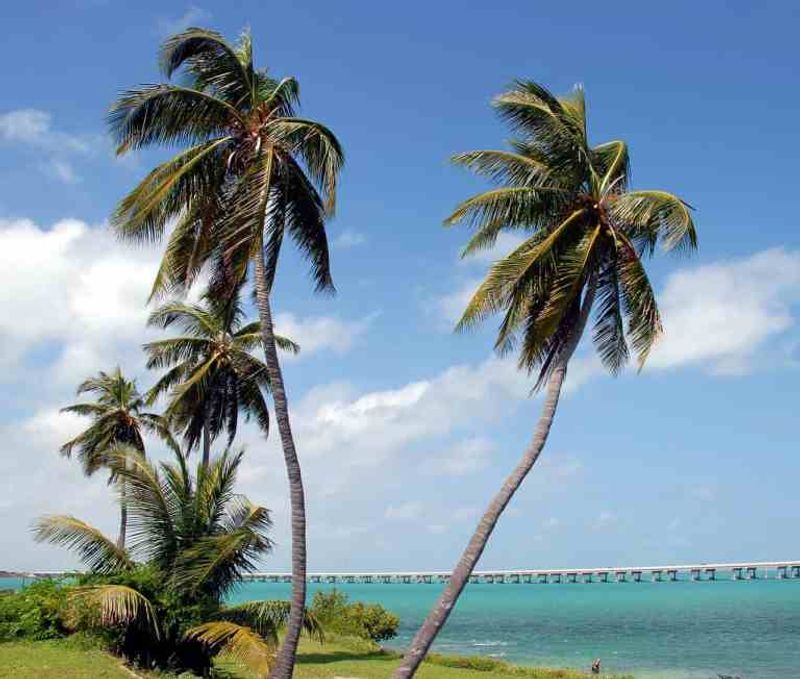Bahia Honda State Park, Florida Keys