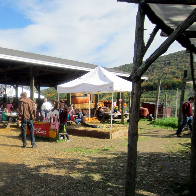 Wilklow Orchards