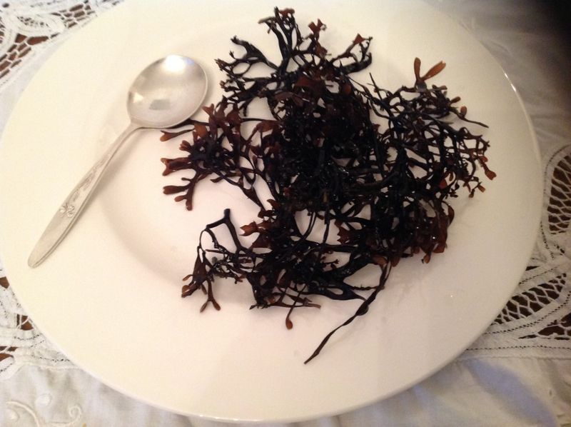Seaweed Snacks