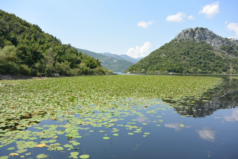 Lake Skadar National Park, Montenegro
