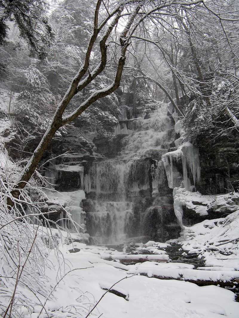Ganoga Falls