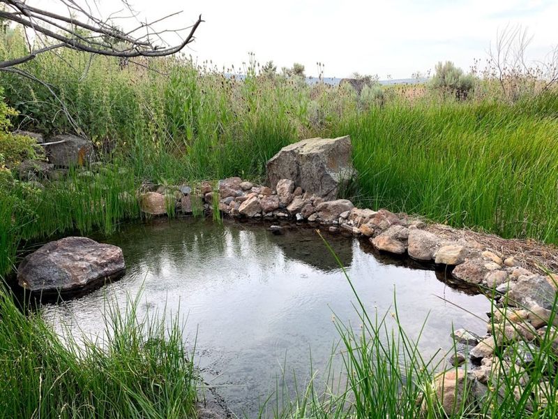 Frenchglen Warm Springs