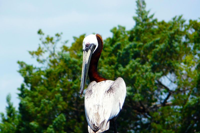 Wildlife Photography Paradise