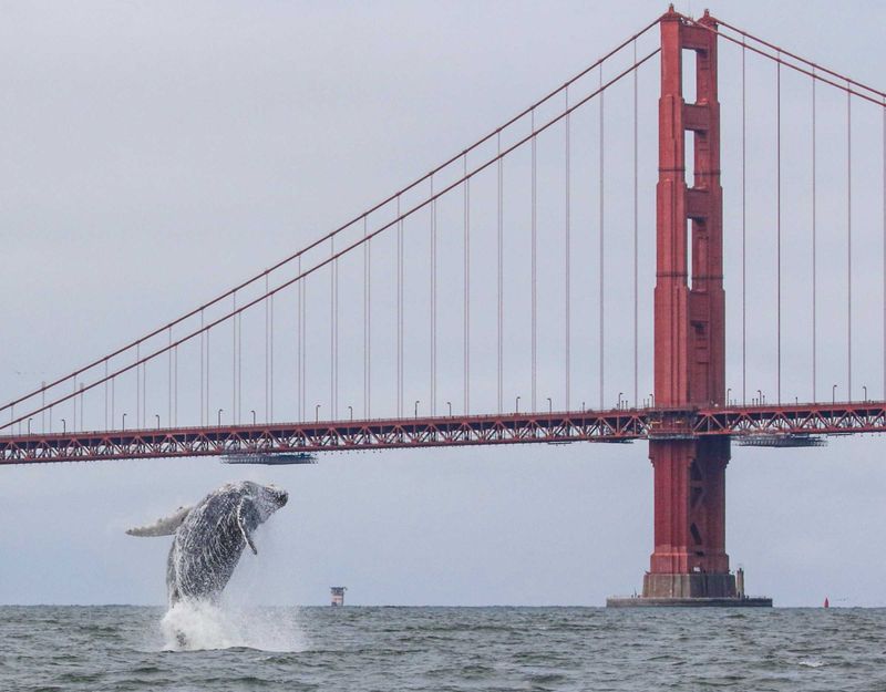 San Francisco Bay, California
