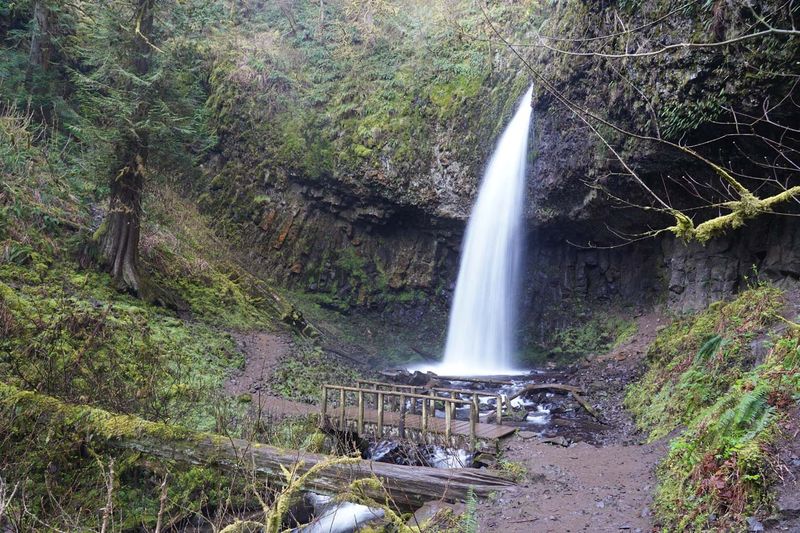 Upper Latourell Falls